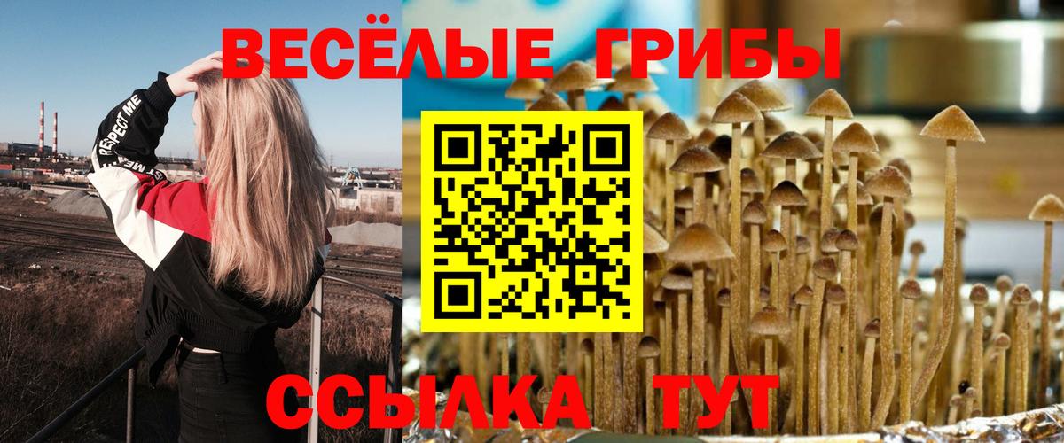 Псилоцибиновые грибы Magic Shrooms Луга